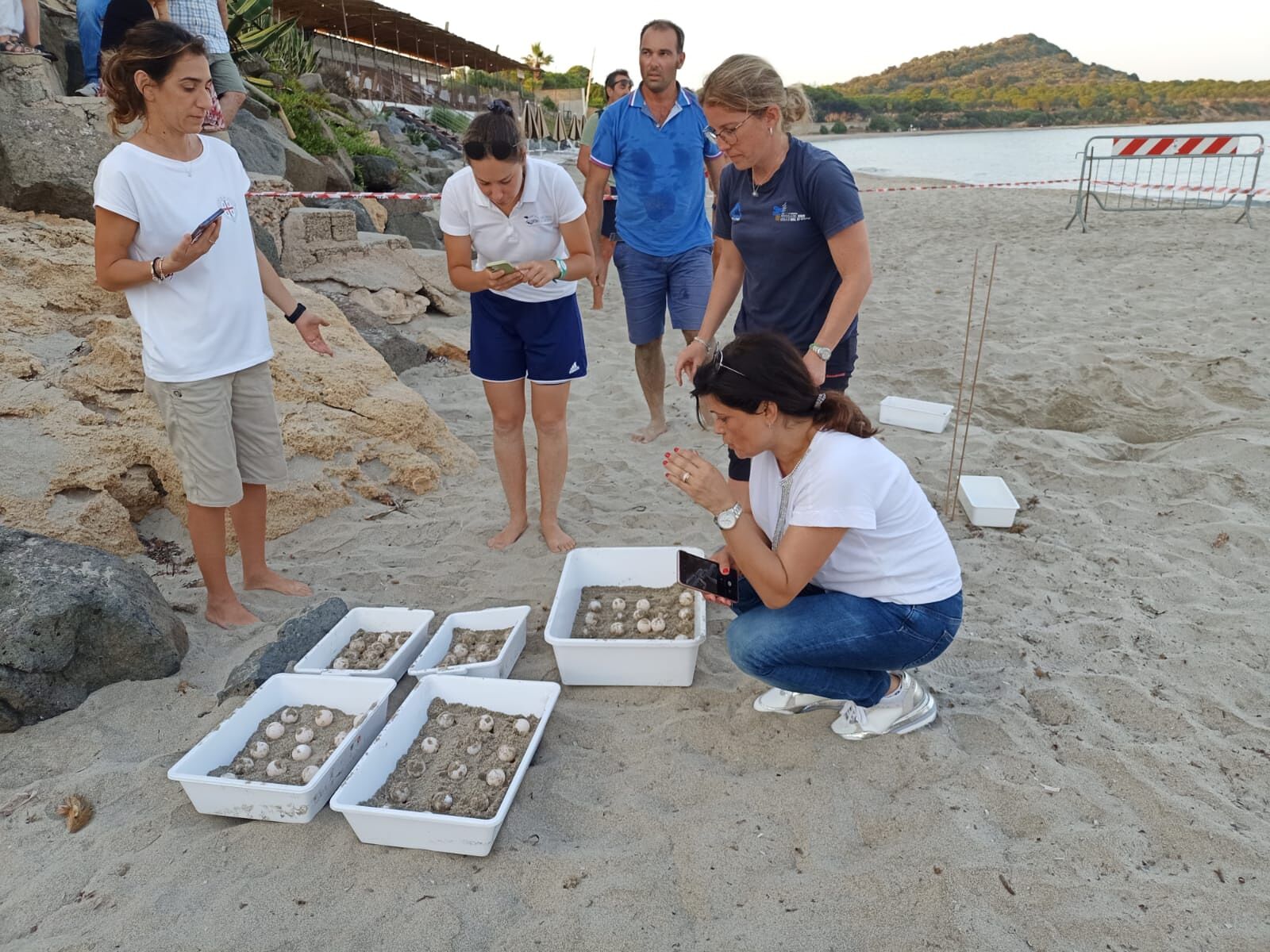 Pula, il nido della tartaruga trasferito in un luogo più sicuro: il lieto evento a fine settembre