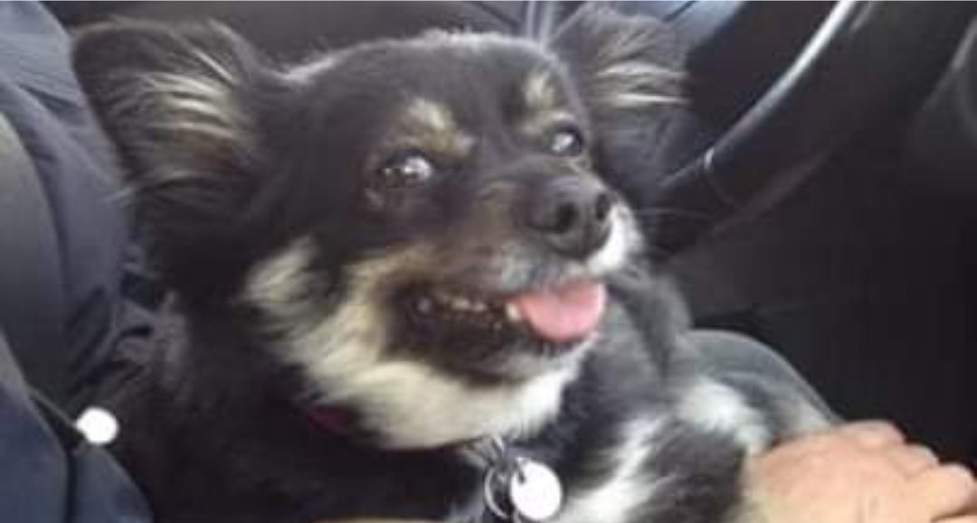 Lula, meticcia di 13 anni sparita da Poggio dei Pini: “Vi prego, aiutatemi a riportarla a casa”