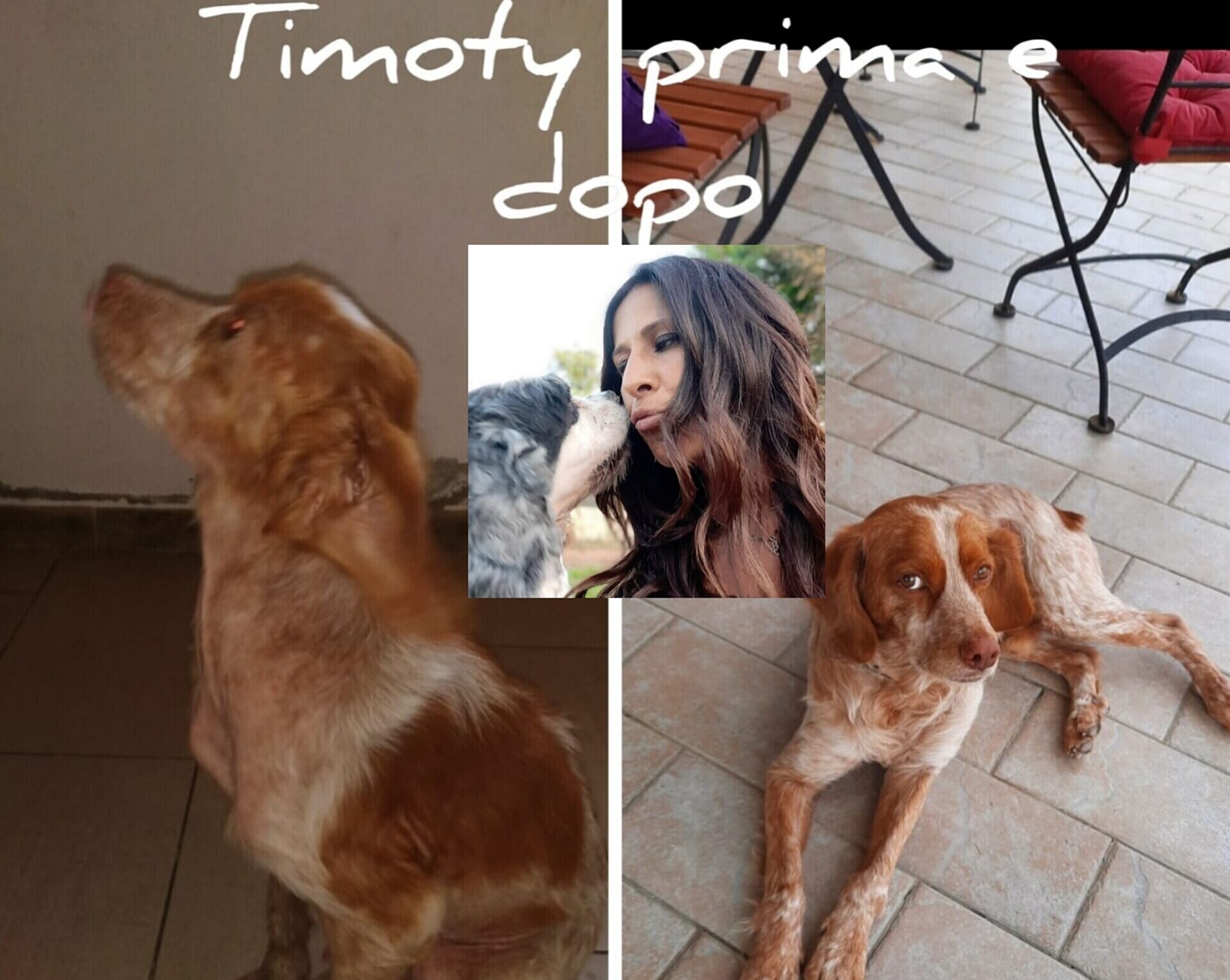 Emanuela Mura ci porta nel mondo del Rifugio di Crocchetta e i suoi 65 fratelli: “Operiamo 24 ore al giorno i cani salvati in strada”