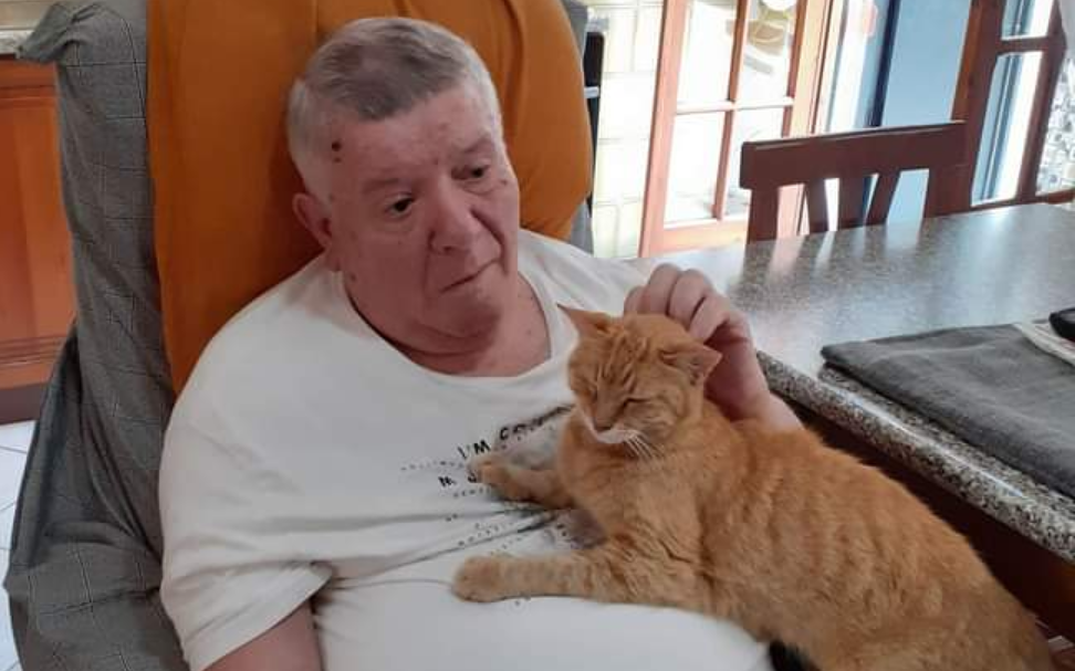 Da Quartu a S’Oru e Mari nel vano motore di un’auto, ma c’è il lieto fine: ritrovata la gattina Qui Qui