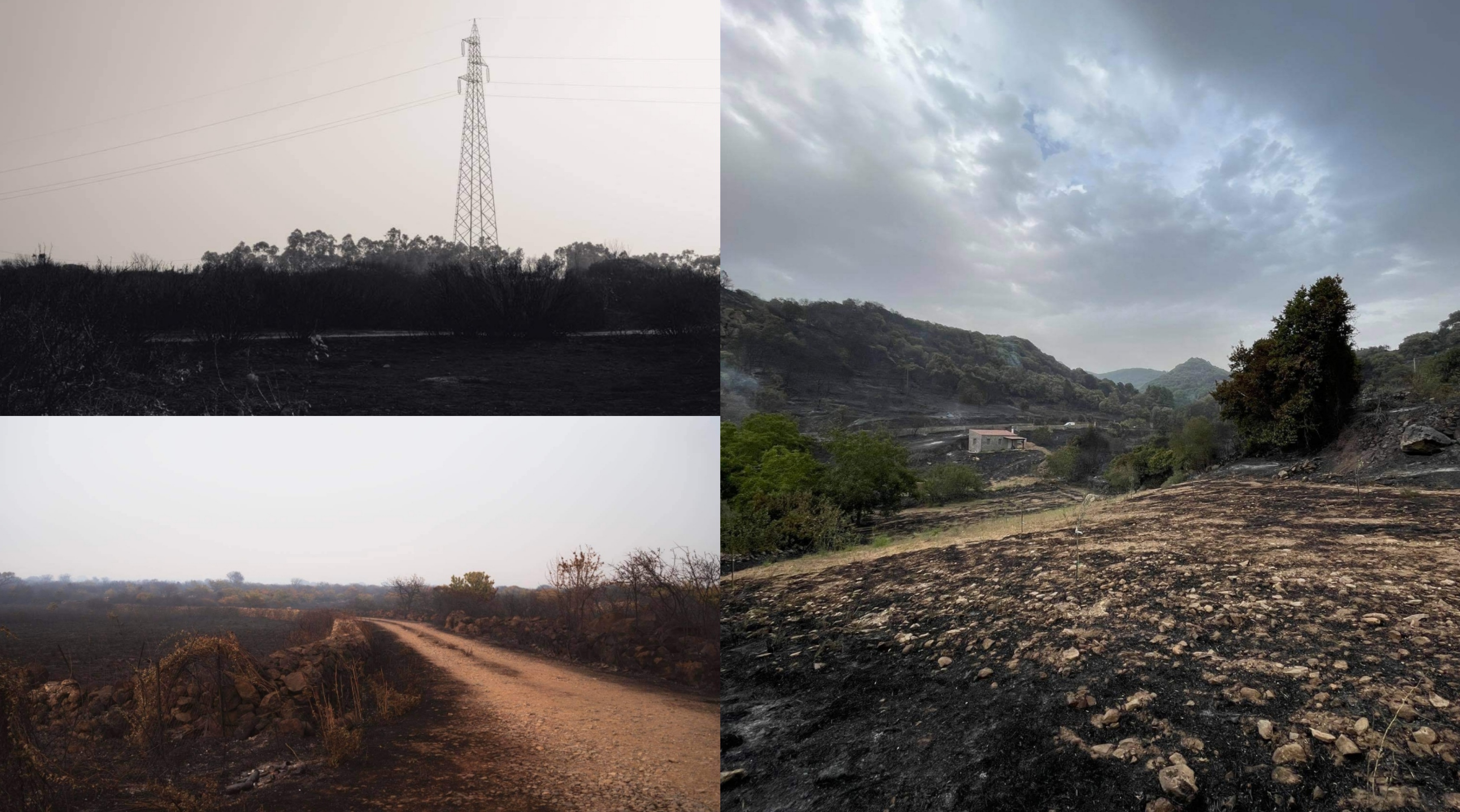Cuglieri, la disperazione negli occhi del sindaco: “Oltre la metà del nostro territorio non esiste più, cancellato dal fuoco”