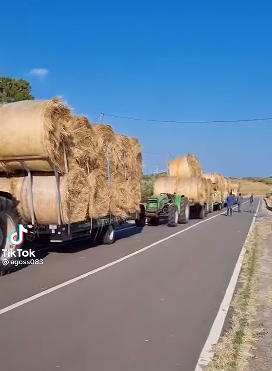 Il grande cuore dei sardi non si smentisce: foraggio per aiutare gli allevatori