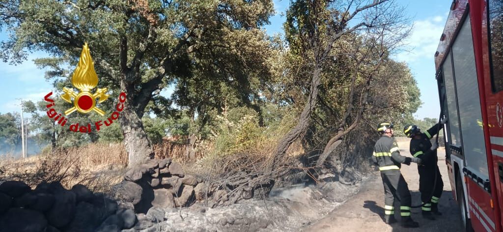 La Sardegna brucia ancora, altri 34 incendi e decine di ettari di terreno inceneriti