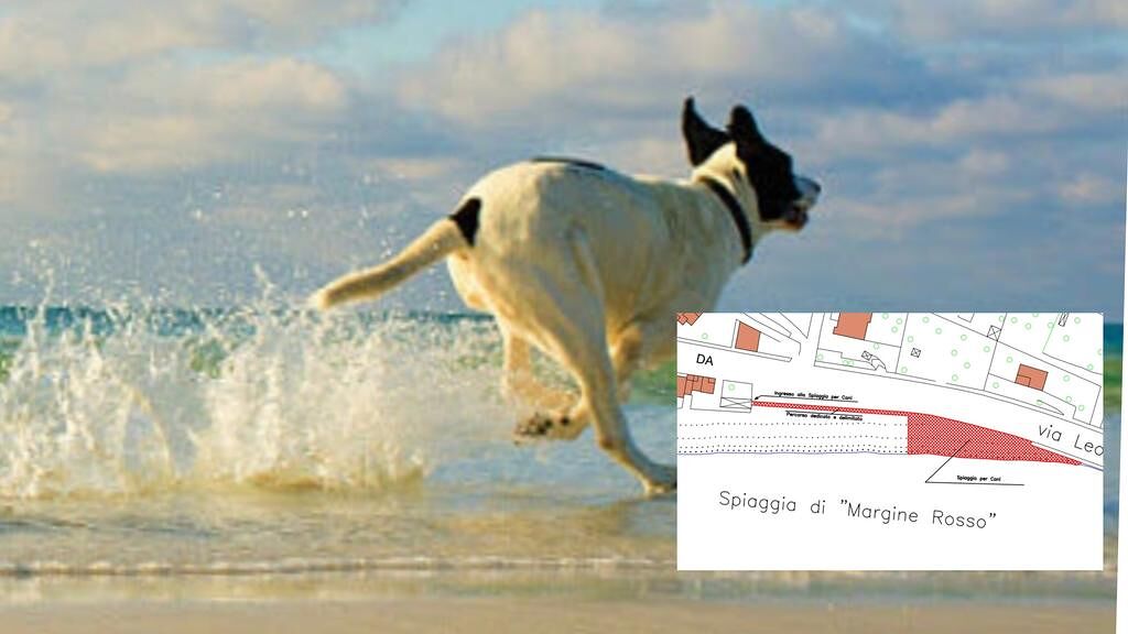 Tuffi con Fido a Quartu, al Margine Rosso apre la spiaggia per i cani