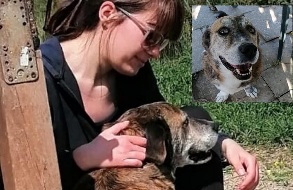 L’appello: “Aiutate Ciro. E’ nel rifugio da una vita e ha visto morire i suoi amici”