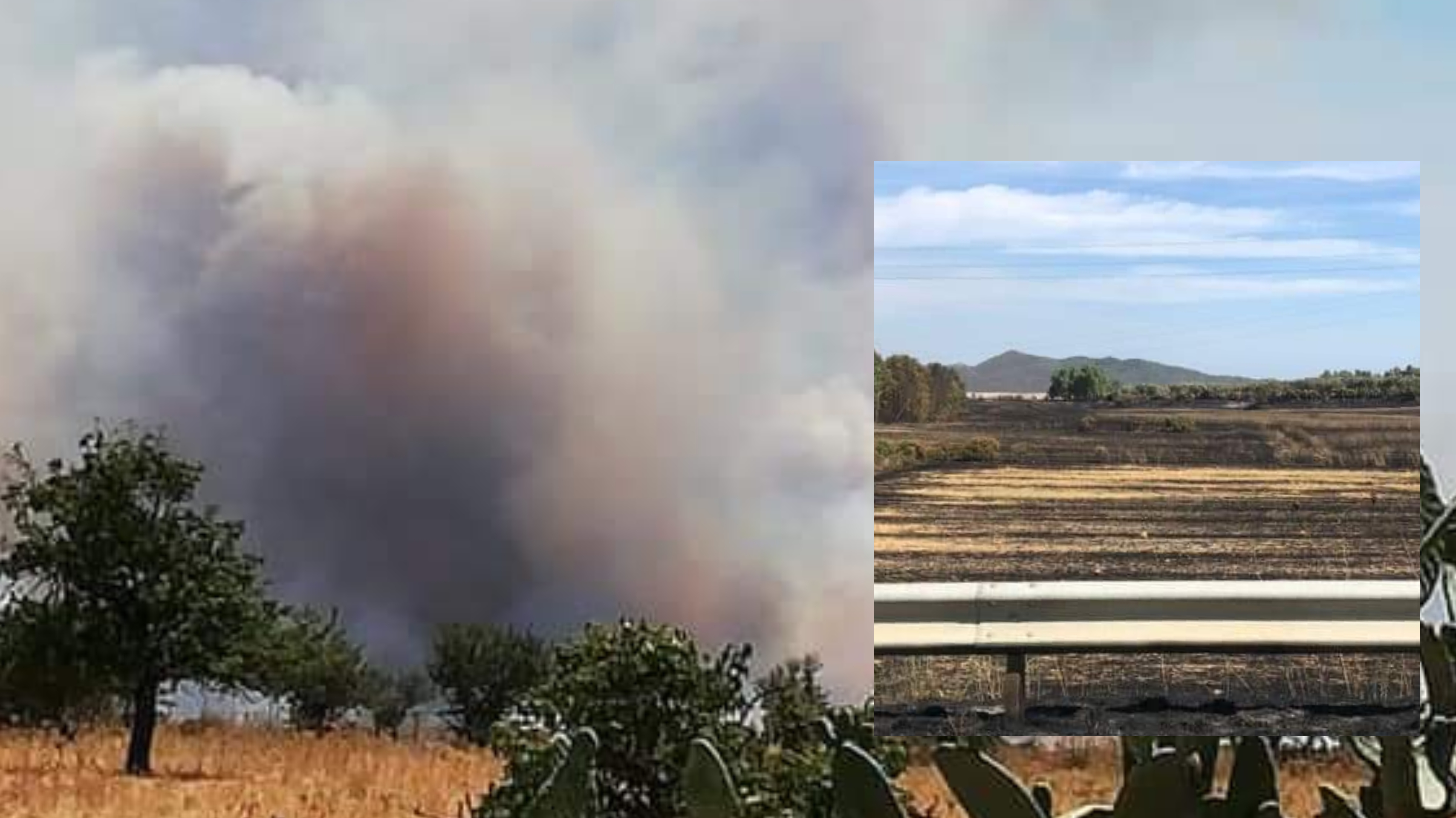 200 ettari andati in fumo a Vallermosa: paura e danni ingenti per le imprese coinvolte nel terribile incendio
