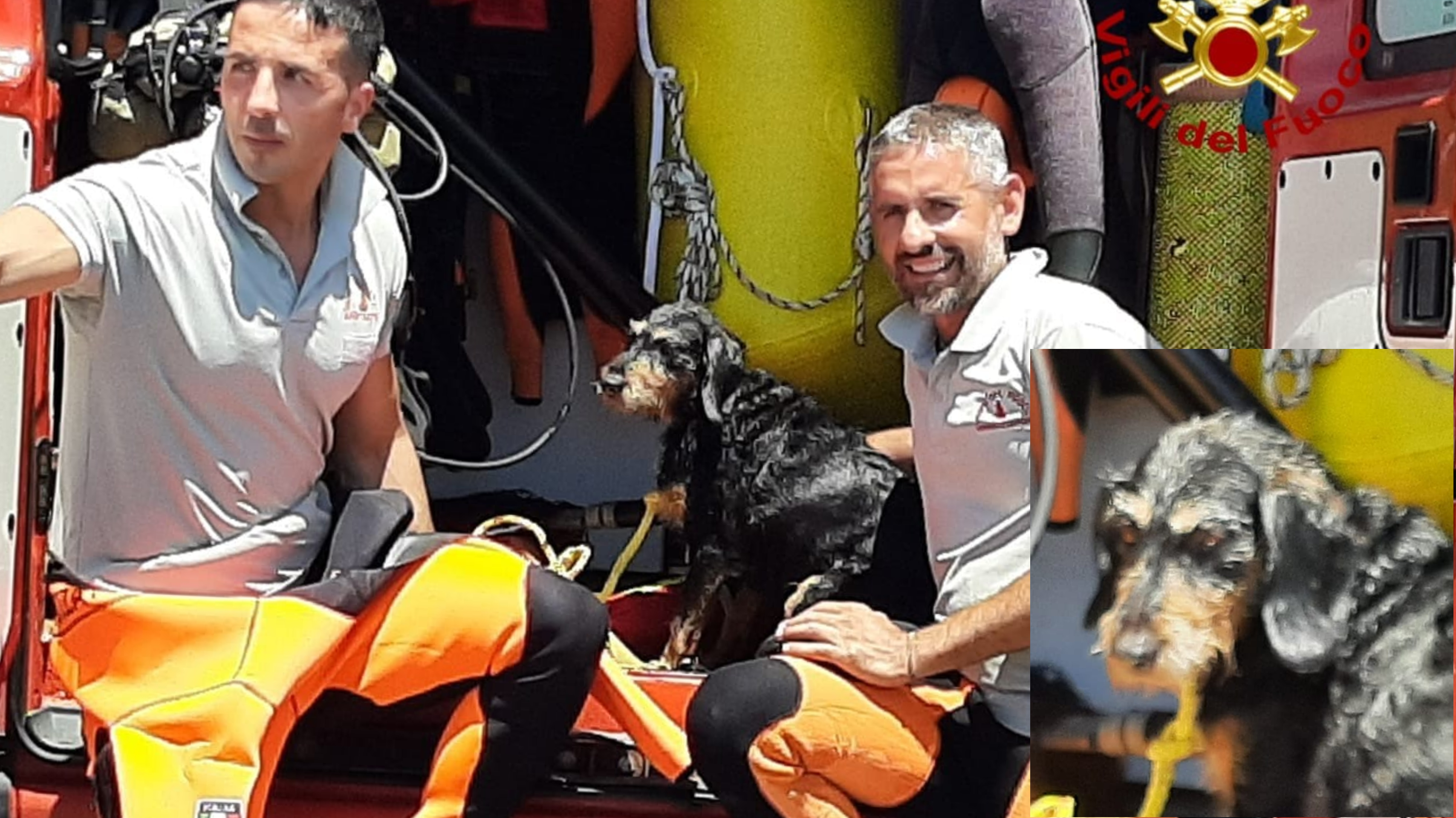 Tuffo fuori programma per Fido: recuperato nelle acque di Terramaini e portato in salvo dai sommozzatori dei vigili del fuoco