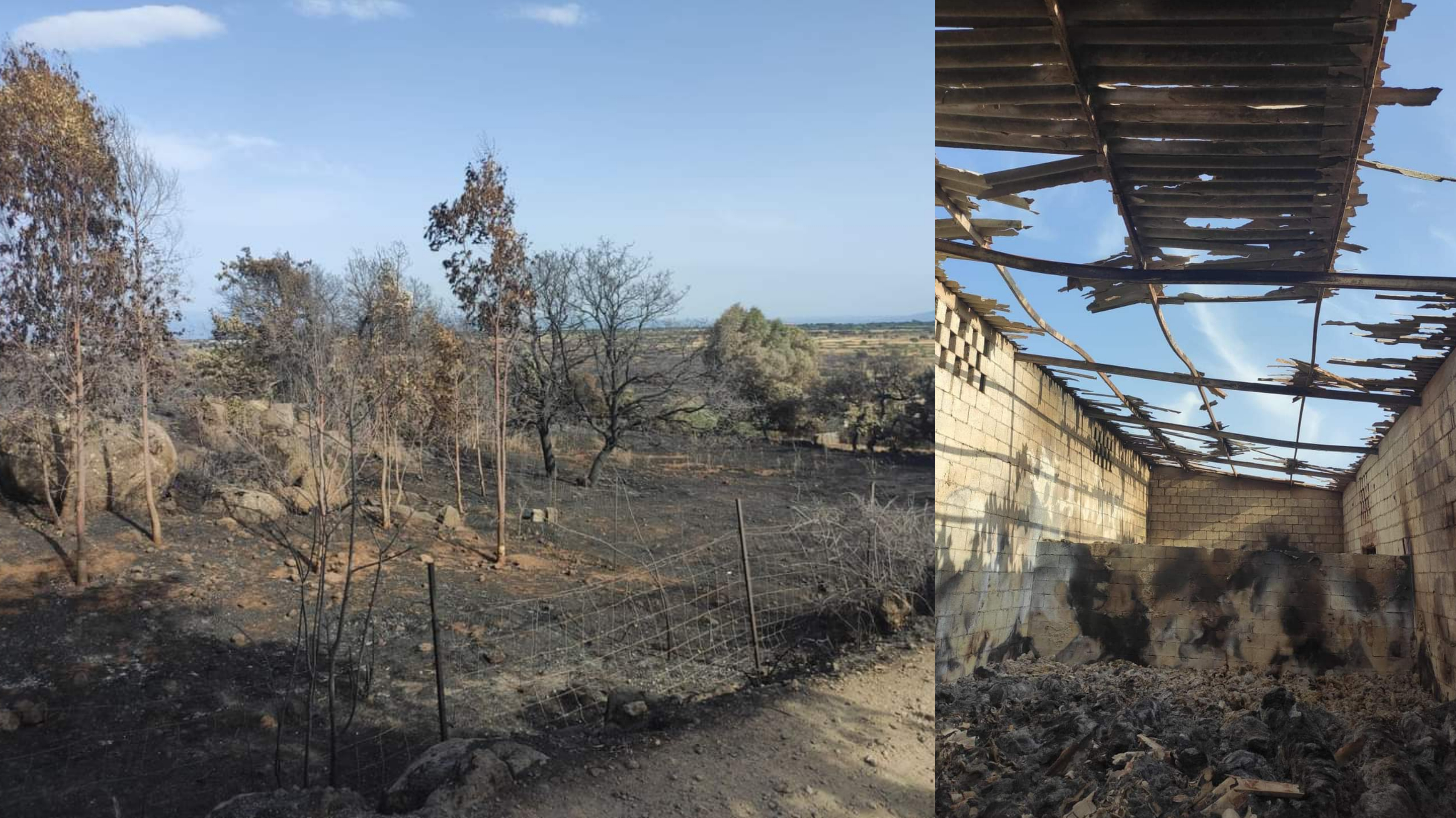 Macomer martoriata dagli incendi: “Ci hanno portato via tutto, ma non la voglia di ripartire”