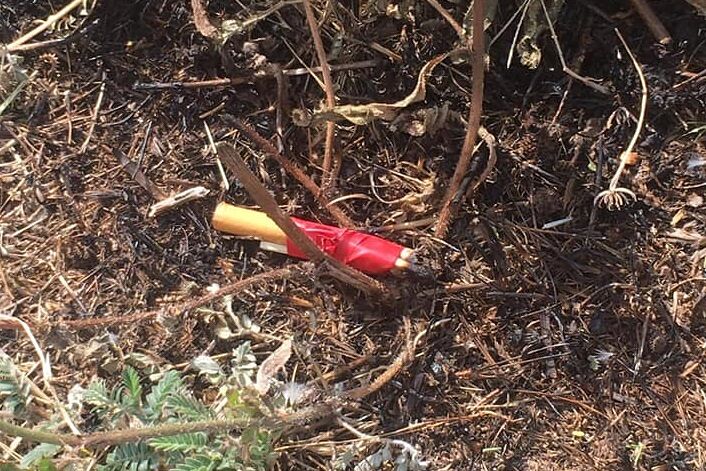 Oniferi, sventato un incendio sulla 131 Dcn: “Poteva essere un altro disastro ambientale”