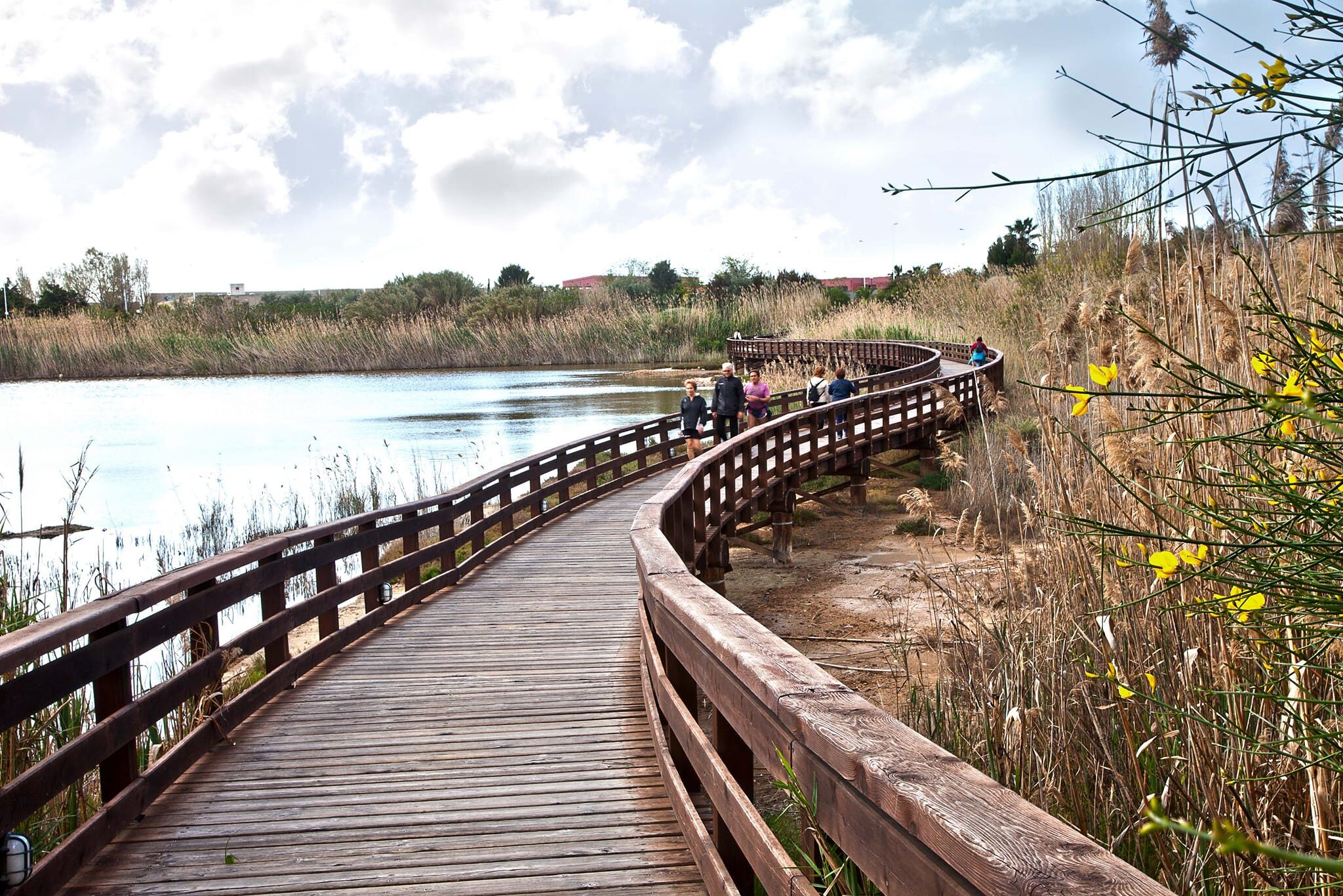 Cagliari, rinasce finalmente il ponte del parco di Terramaini: via ai lavori dopo l’incendio di 5 anni fa