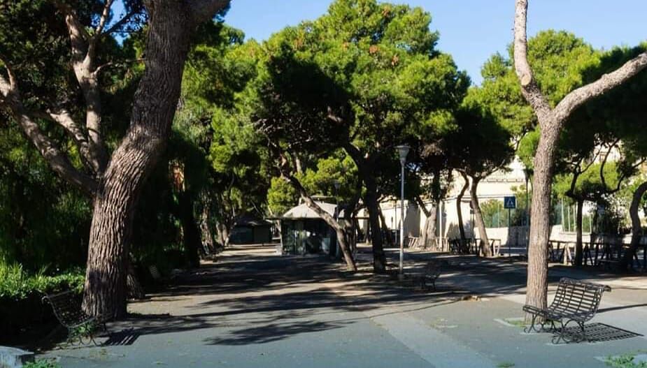 Nuovo look per viale Trieste e Buoncammino, Truzzu: “Cagliari sempre più verde”