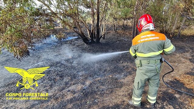 In Sardegna 13 incendi, giornata di fuoco: paura e fiamme alte a Carloforte e Nurri