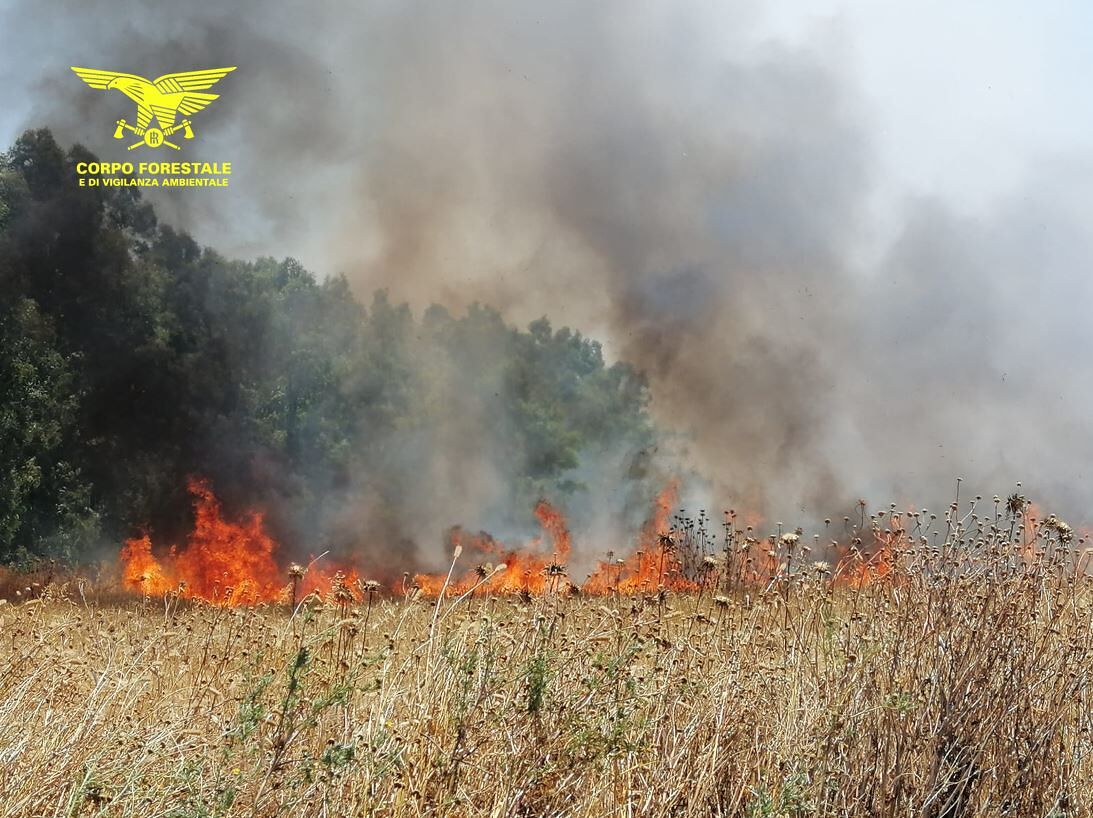 Sardegna bollente, scoppiano gli incendi: fiamme a Siurgus Donigala, Borore e Bottidda