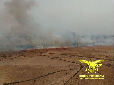 Non c’è pace per la Sardegna, assediata dagli incendi: roghi da nord a sud
