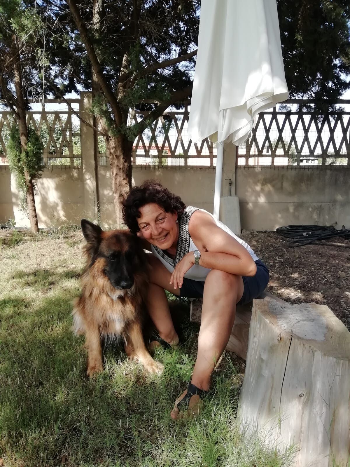 Radio Zampetta Sarda, la Dr.ssa Perseo spiega il ruolo del garante degli animali