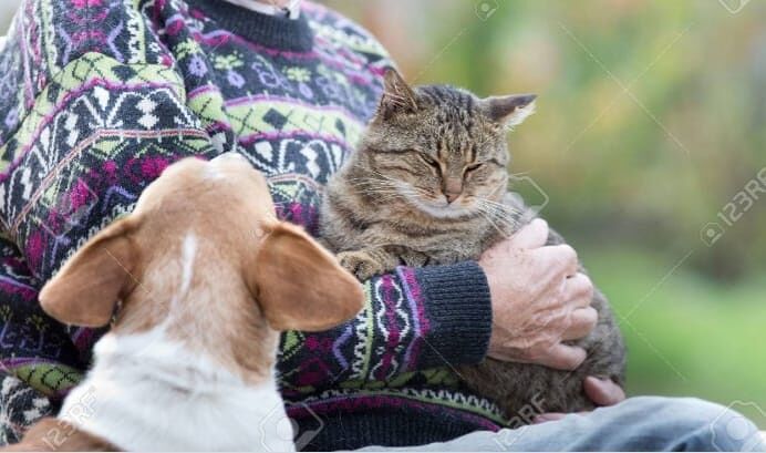 Sardegna, l’appello di Ciro: “Cerco un lavoro, anche per curare i miei 8 cani e 10 gatti”
