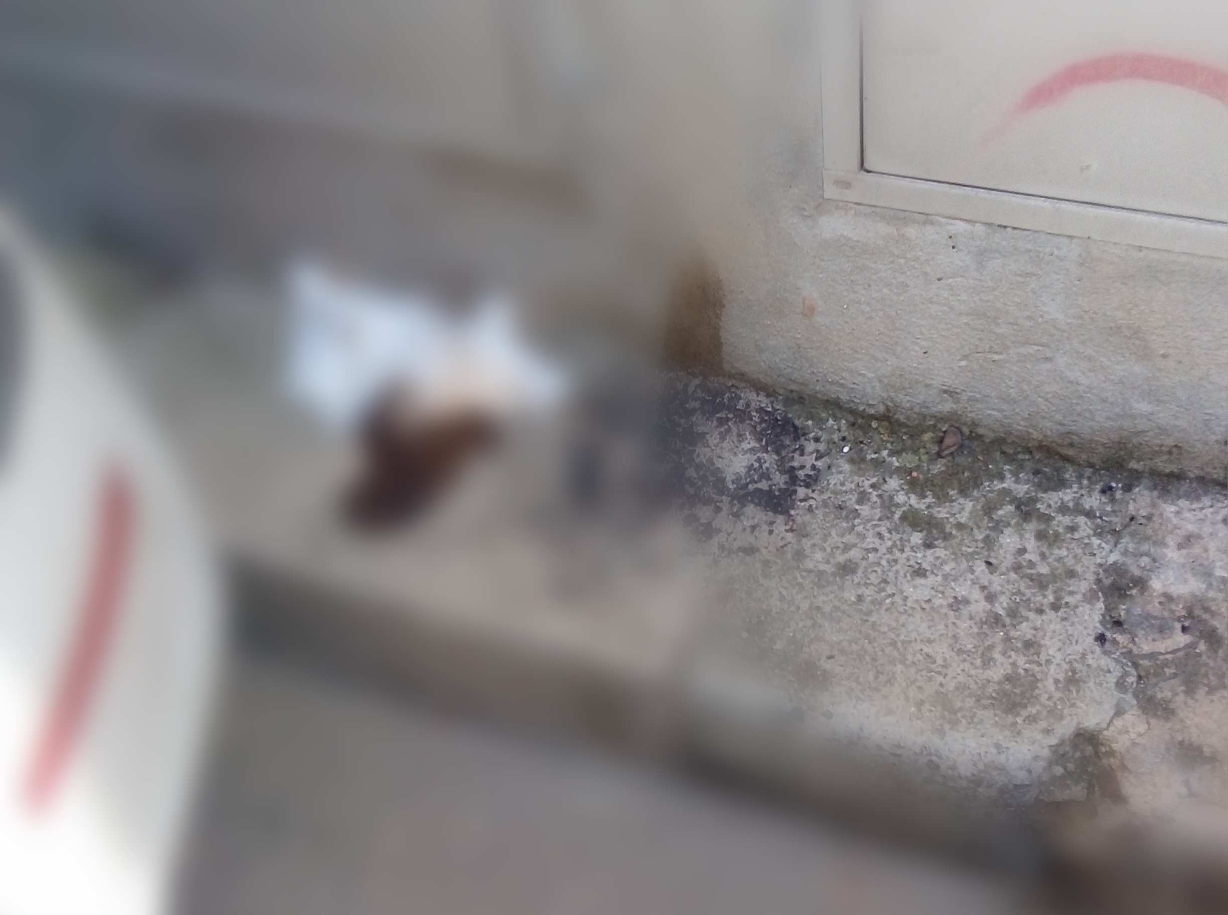 “Degrado totale in piazza 4 Novembre a Quartu: per strada anche escrementi umani”