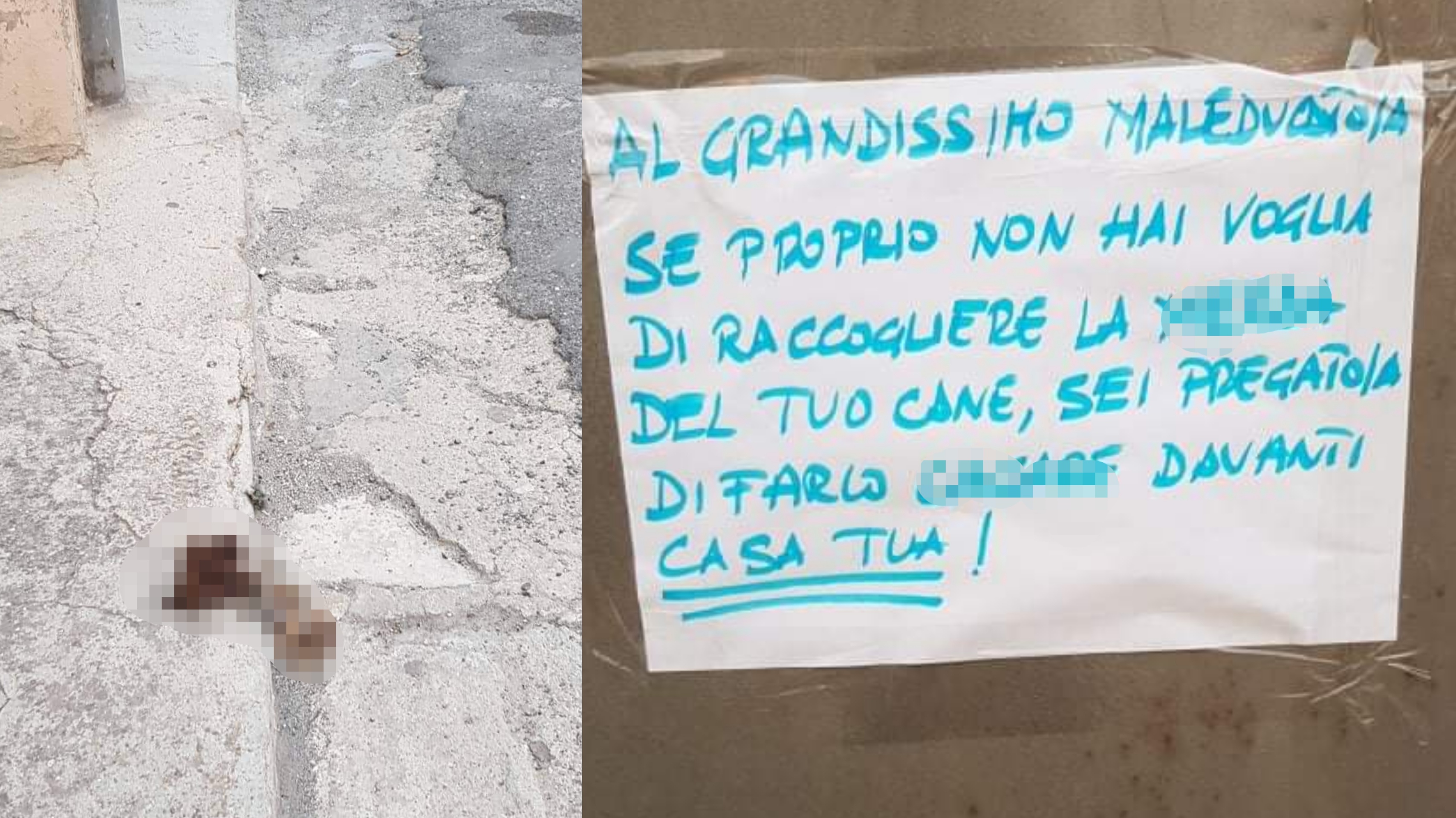Monserrato, guerra aperta ai padroni di cani maleducati