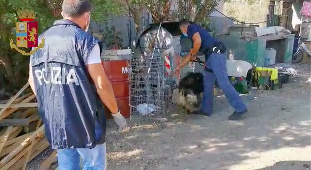 Blitz dei “Falchi” a Villa d’Orri, arrestato un 53enne per spaccio di stupefacenti