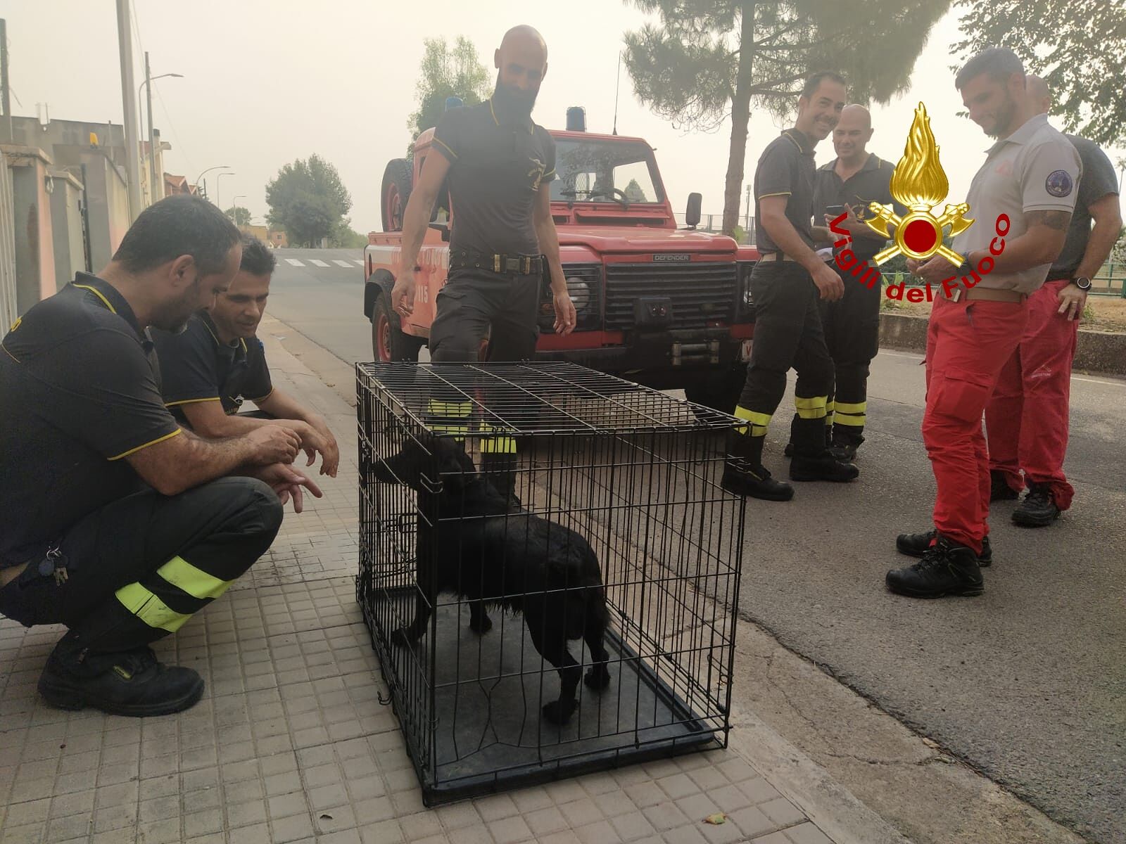 Caduto nel canale, cane salvato dai Vigili del fuoco a Villasor