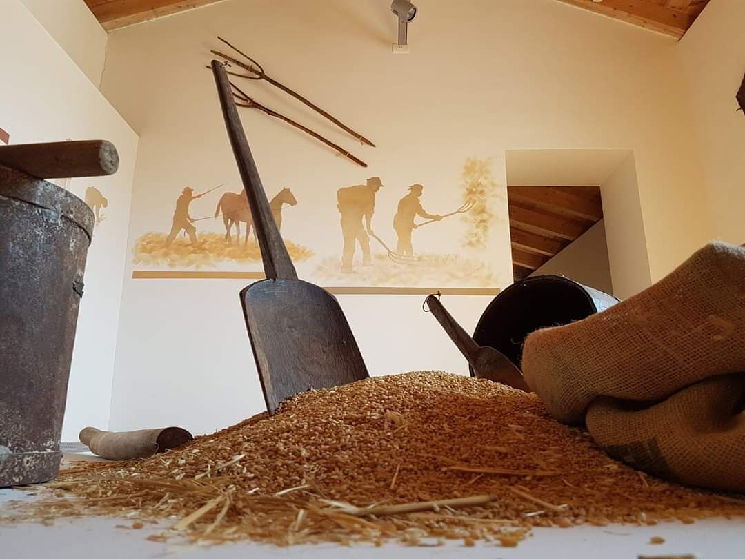 Covid, si complica la situazione a Sanluri: musei chiusi, operatori in quarantena e restrizioni in arrivo