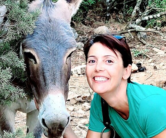 Cartelli no vax a Cagliari, attacco feroce della Ghirra a Truzzu