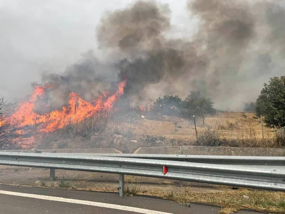 Fiamme alte tra Mandas e Escolca, incendio ai bordi della Statale 128: scatta l’allarme