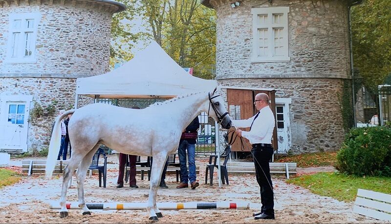 L’Anglo Arabo Sardo protagonista alla “Grande Semaine” in Francia