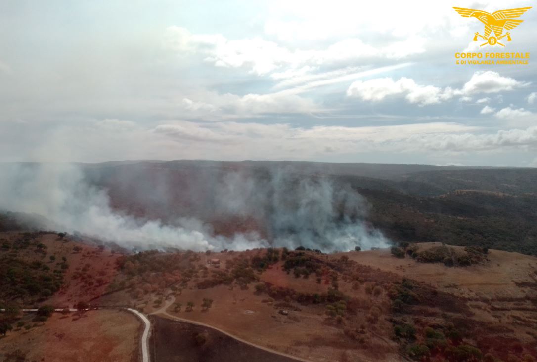 Oggi 16 incendi in Sardegna, 40 ettari in cenere a Nuraminis