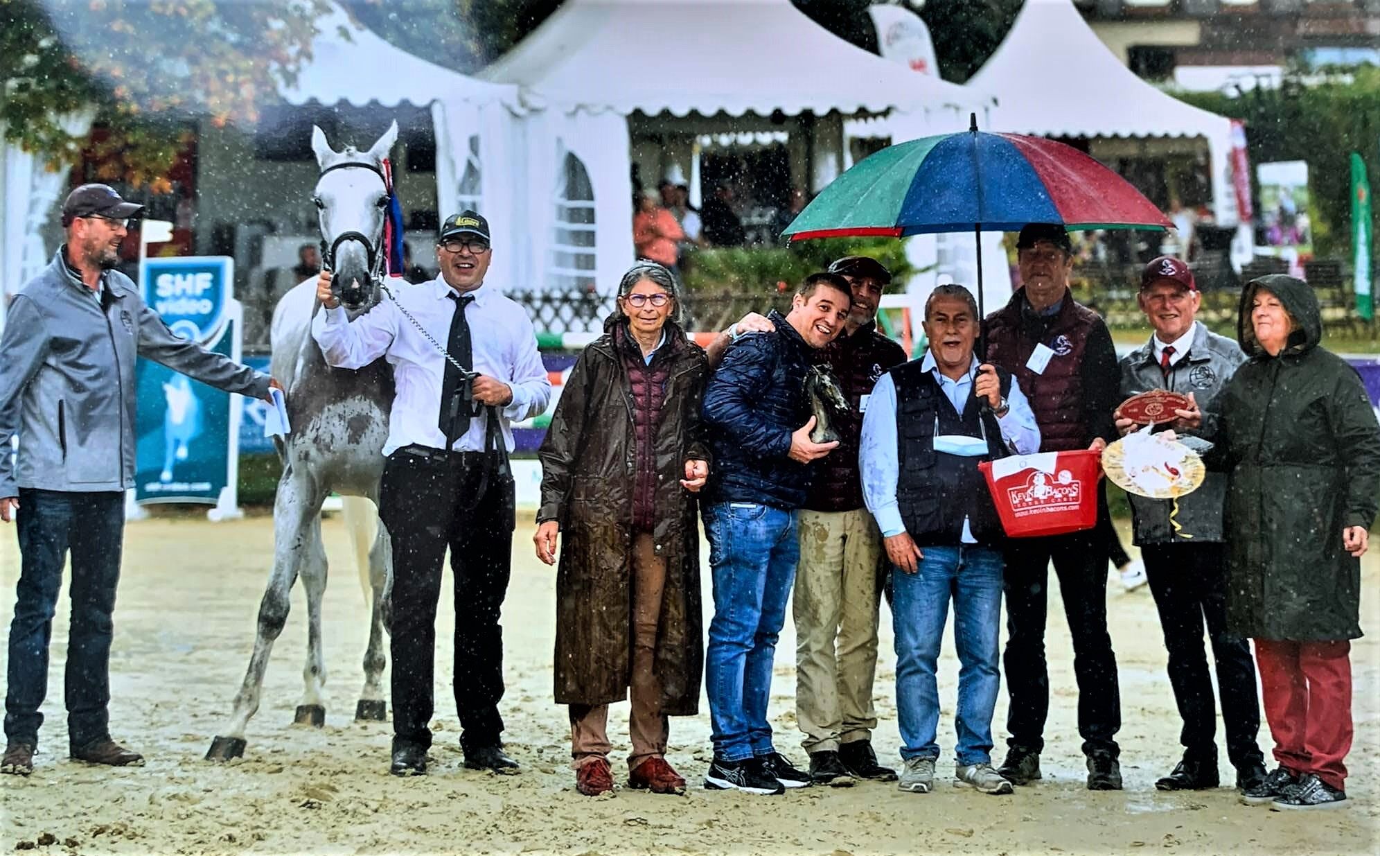 In Francia l’Anglo Arabo Sardo Diamante Foresta vince nel salto e nella morfologia