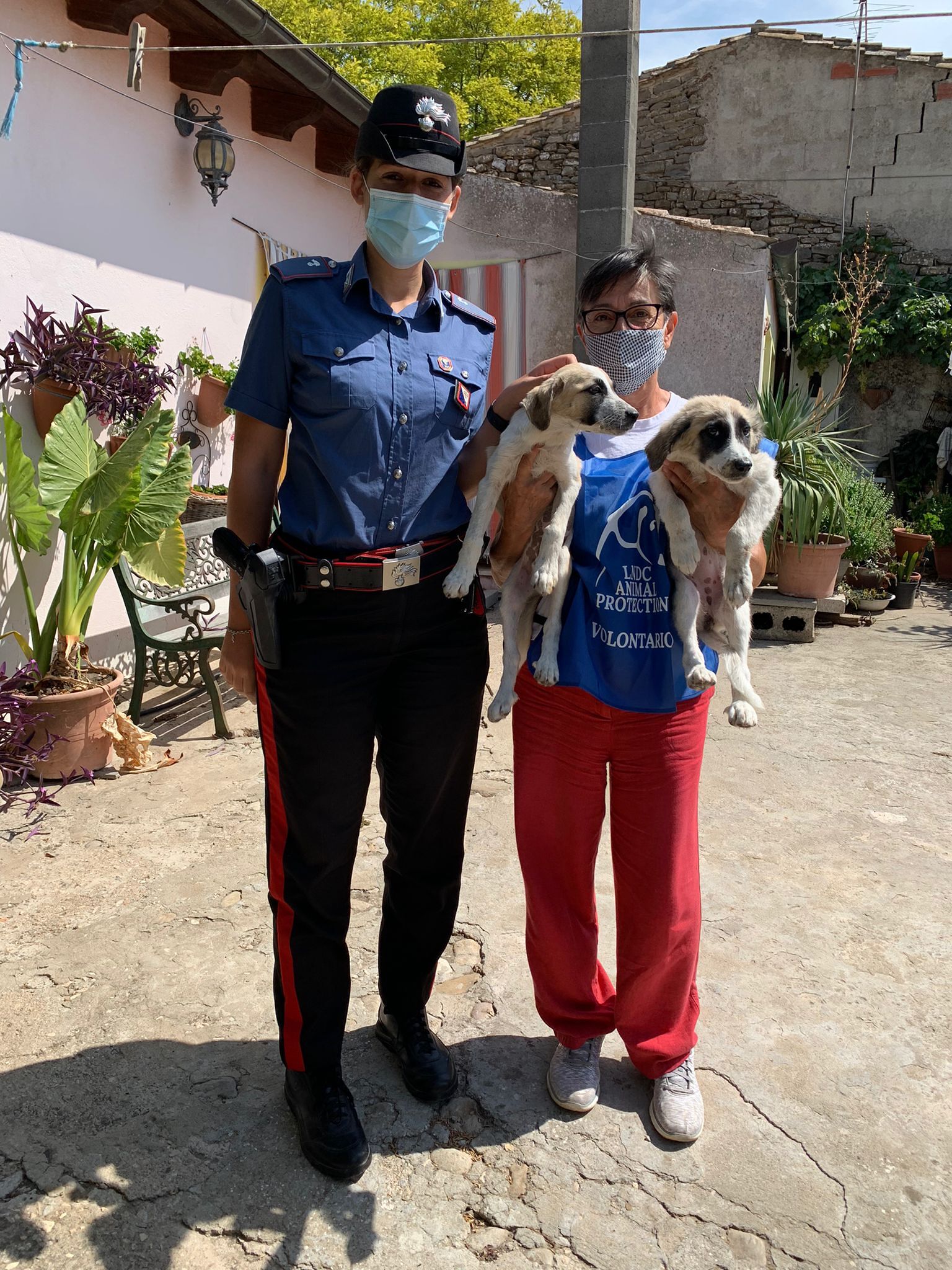 Mandas, il lieto fine per i due cuccioli trovati legati a un palo: ora stanno bene, potranno essere adottati