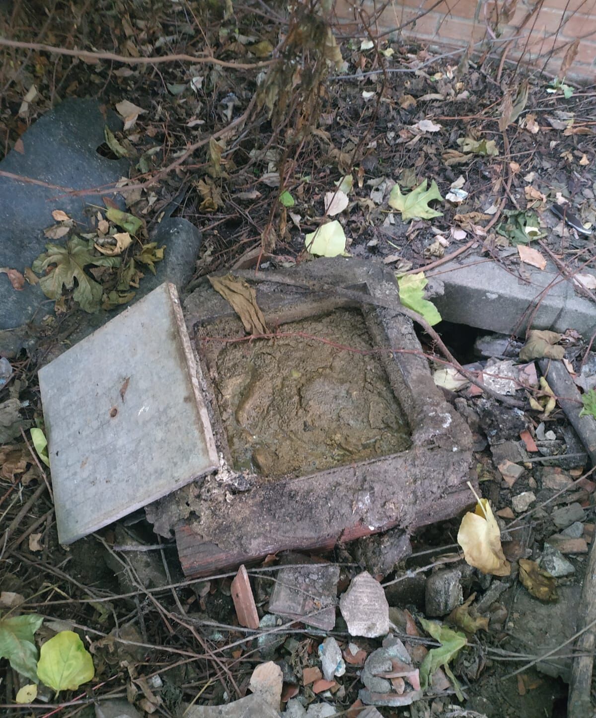 “Fogne ostruite in piazza Granatieri di Sardegna, situazione da terzo mondo”