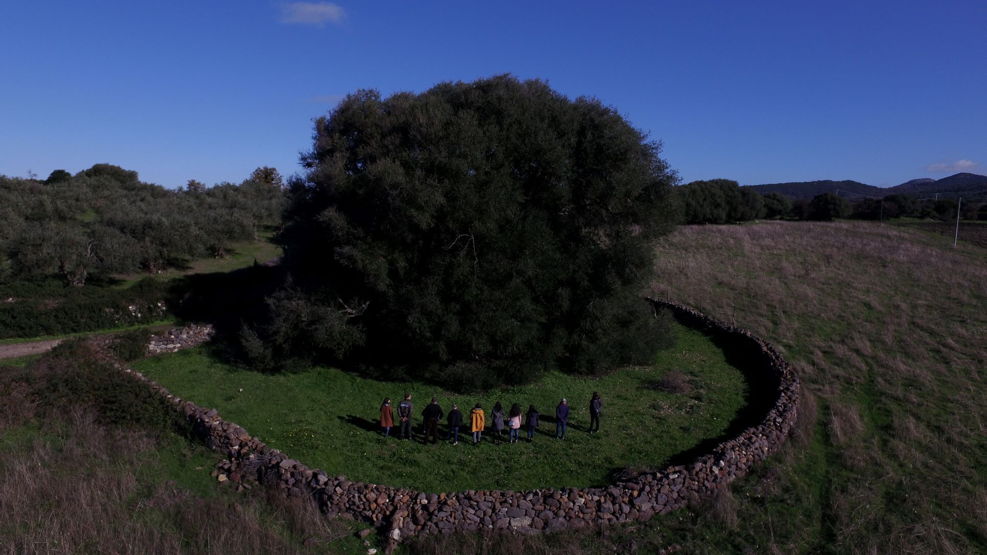Sardinia Anima Mundi: edizione speciale per la rinascita di Cuglieri dopo gli incendi