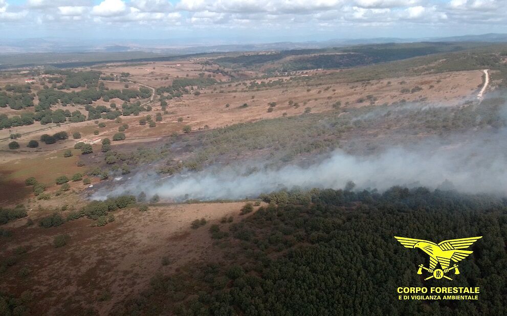 Ancora incendi in Sardegna: in fiamme altri 22 ettari