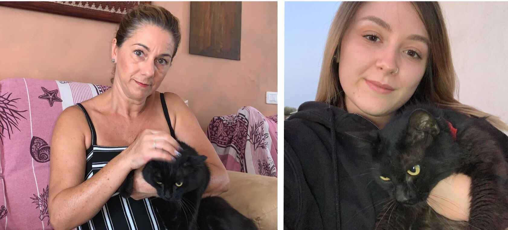 A Radio Zampetta Sarda la storia di Micio, gattino adottato grazie a un video su Facebook