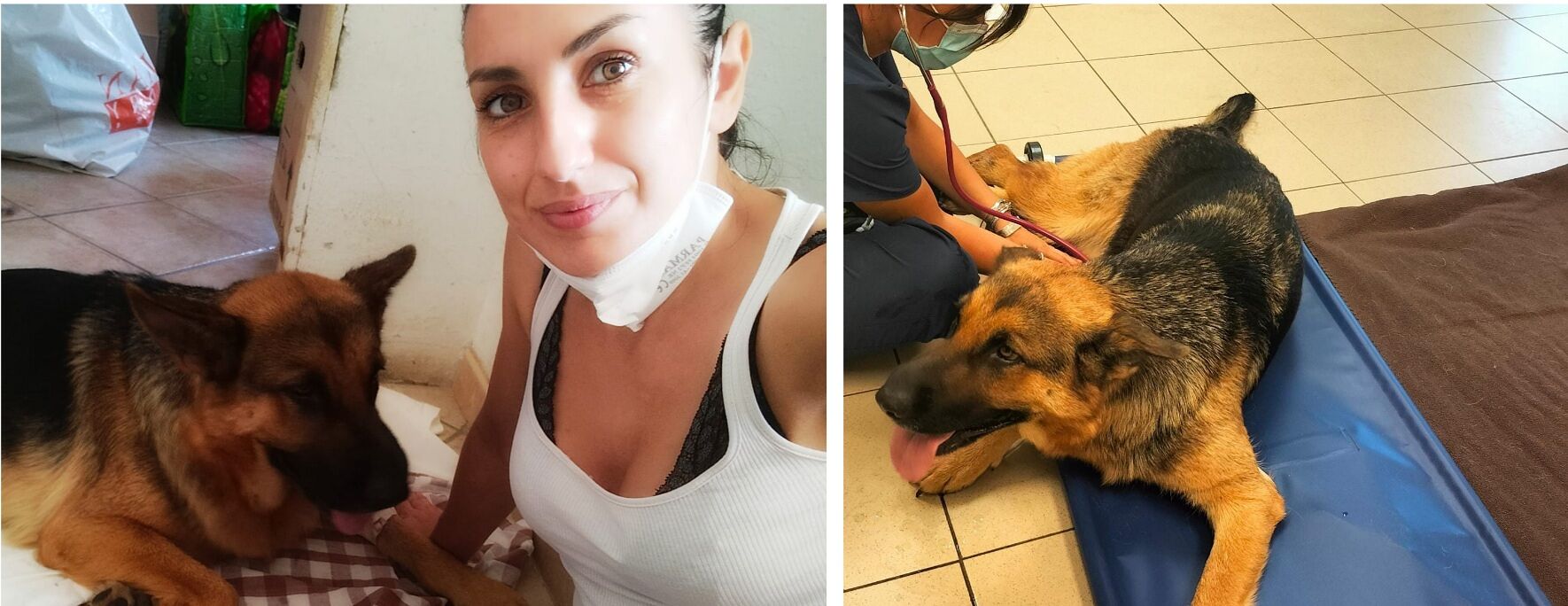 Radio Zampetta Sarda: Tiziana Ghironi ci parla di adozioni responsabili