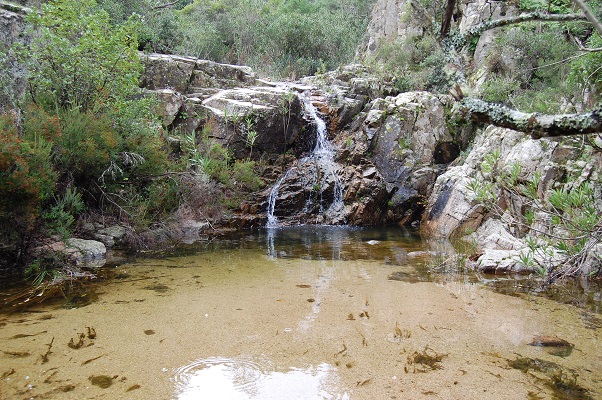 Il Grig contro l’amministrazione di Villasimius: “Vuole privare i propri cittadini e tutti i sardi dei diritti di uso civico”