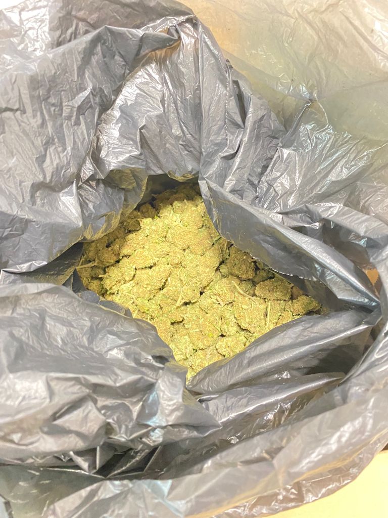 Monserrato, operaio arrestato per coltivazione e spaccio di marijuana