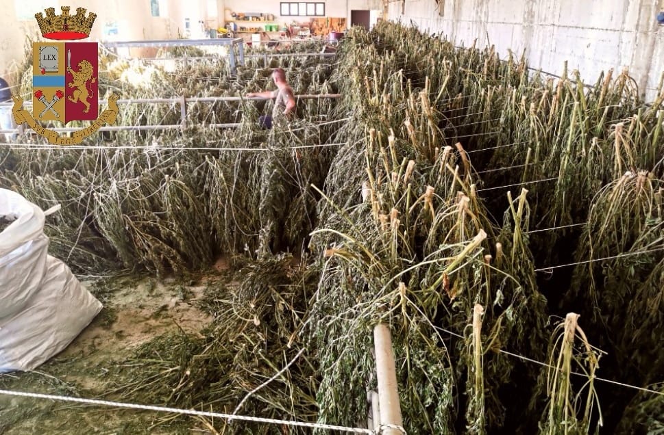Blitz della polizia in un capannone a Orosei: trovata 1 tonnellata di marijuana