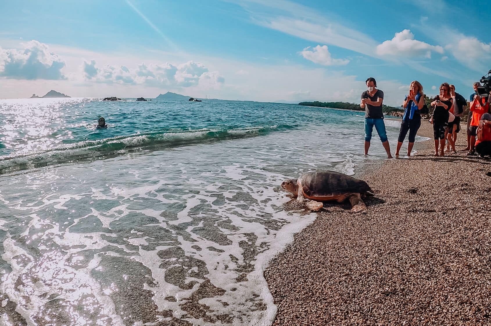Leonessa torna finalmente nel suo mare: liberata una tartaruga Caretta caretta in Ogliastra