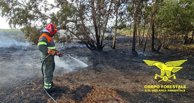 Fiamme nelle campagne di Fordongianus, elicottero della Forestale sul posto