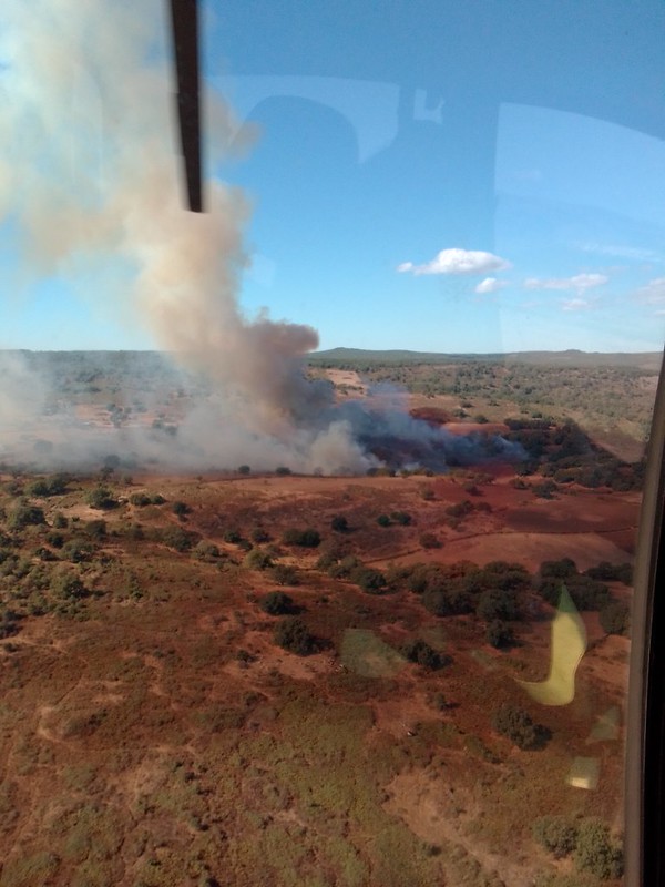 Vasto incendio nelle campagne di Santulussurgiu, sul posto due elicotteri della Forestale: già bruciati 200 ettari