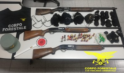 Sardegna, a caccia di cinghiali fuori stagione: denunciati 2 bracconieri