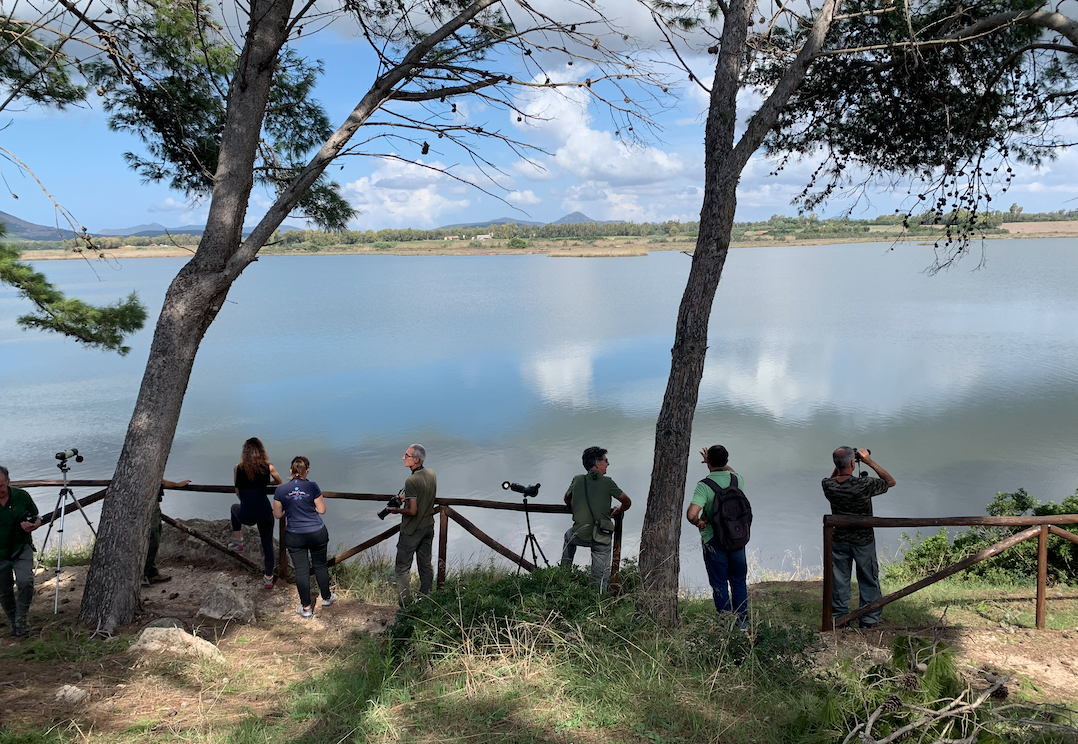 Eurobirdwatch al Calich, avvistamenti e natura: soddisfazione dalla Lipu