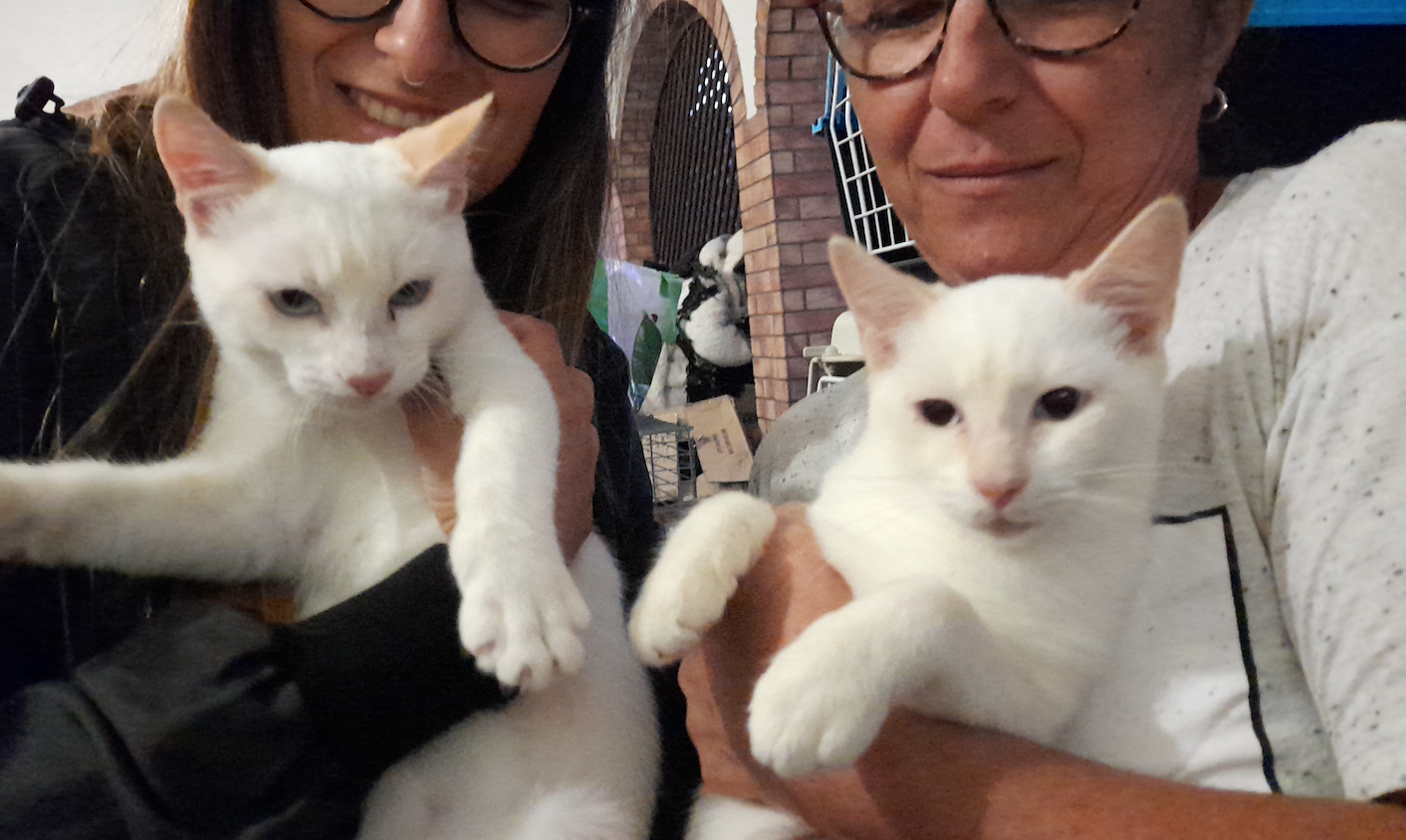 A Radio Zampetta Sarda l’appello per non separare Renata e Cochi