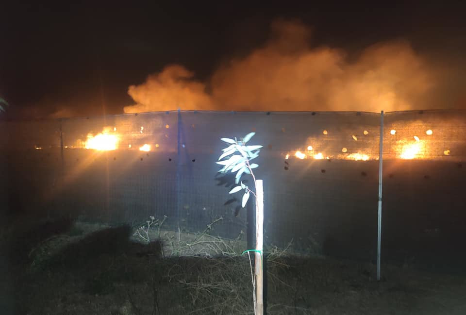 Paura a Serdiana per un incendio accanto al canile: “Gli animali erano terrorizzati”