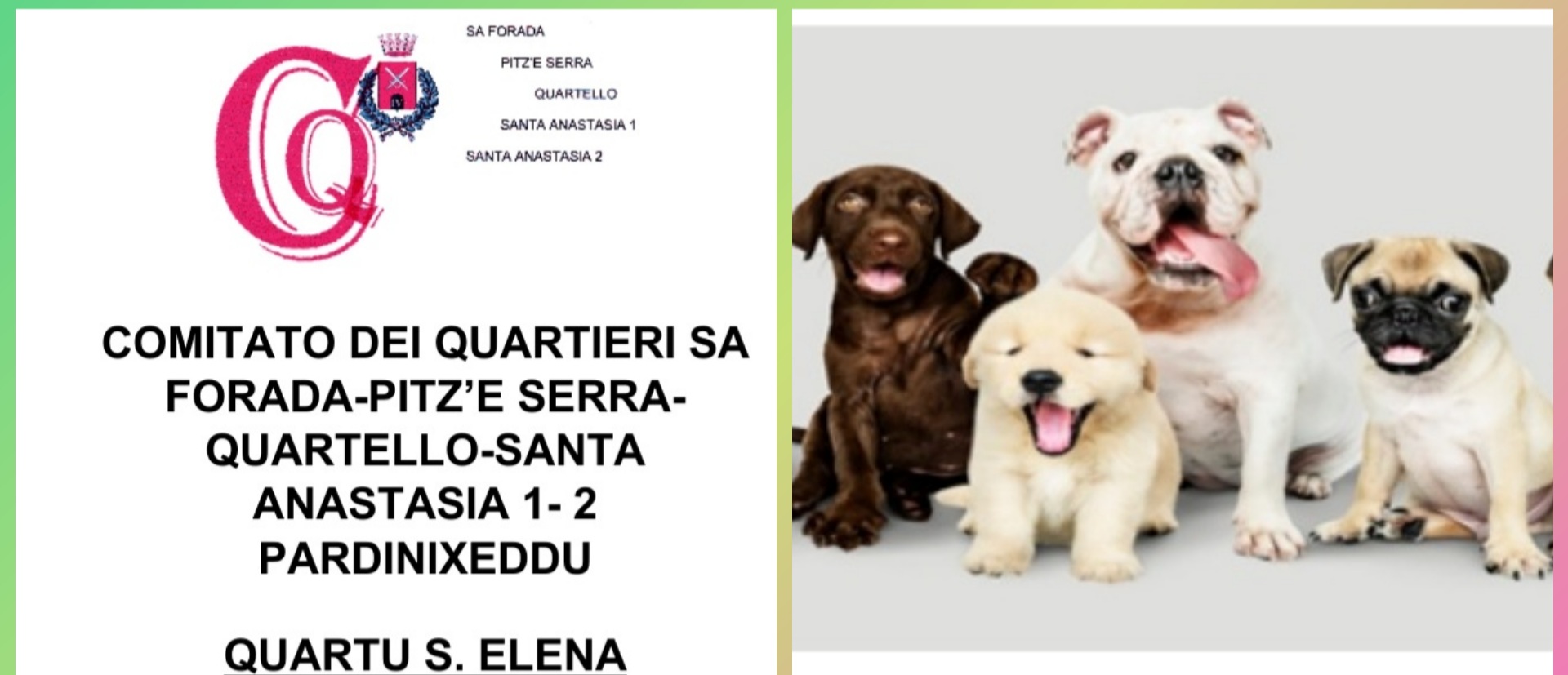 Radio Zampetta Sarda, a Quartu incontro tra la garante degli animali e i cittadini