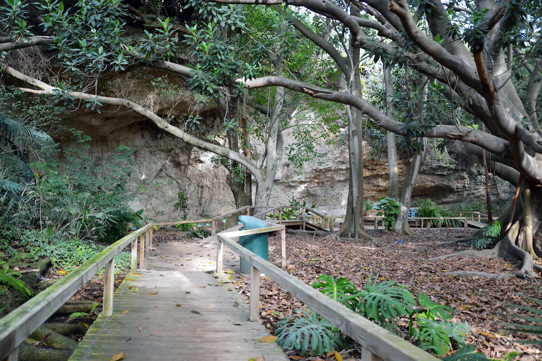 Giovedì 28 ottobre visita online all’Orto botanico di Cagliari