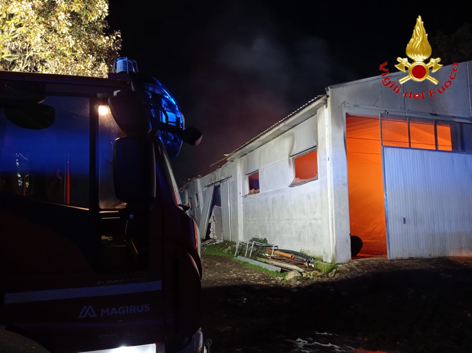 Dramma a Fonni, un incendio distrugge un capannone nelle campagne: morti 40 vitelli