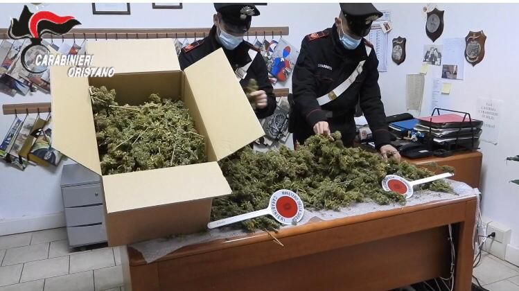 Maxi sequestro di marijuana in Sardegna, stroncato giro d’affari da 17 milioni: 3 arrestati